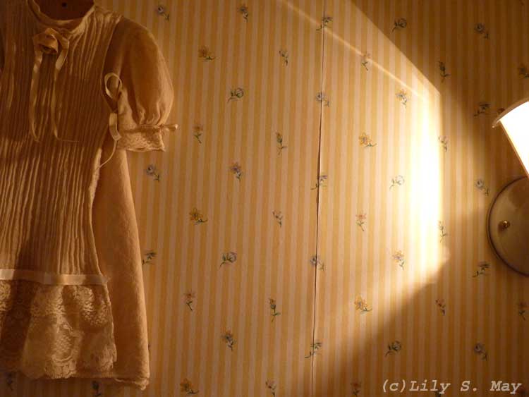 Light and lace photo