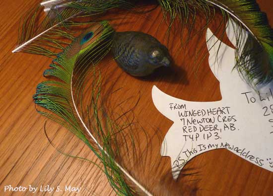 Mail Art from Winged Heart