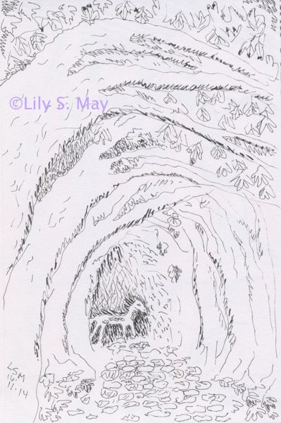 Among the Falling Leaves: Drawing ©Lily S. May, 2014