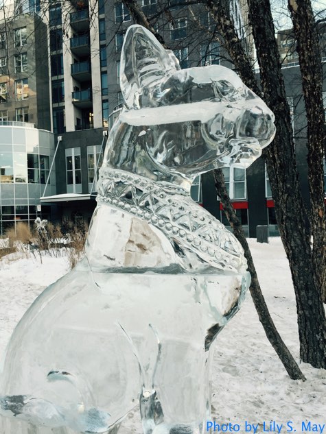 Feb. 25, 2105, Yorkville, Toronto