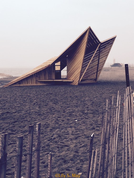 Beach installation2015full