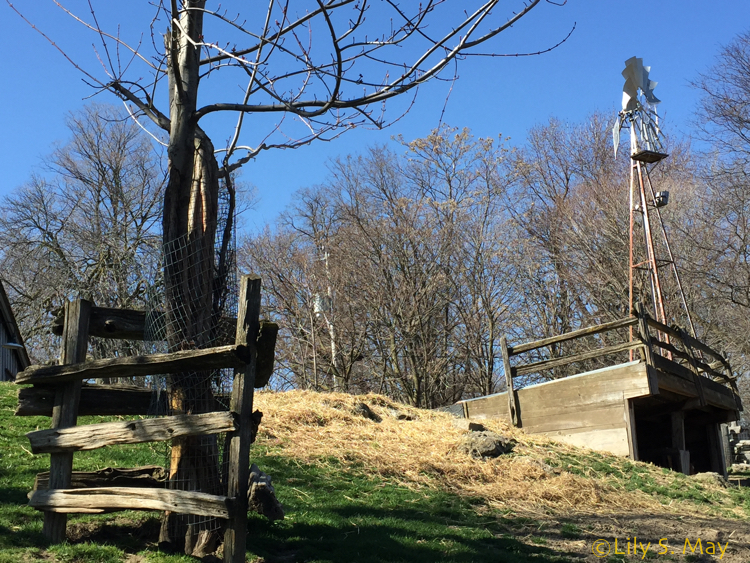RiverdaleFarmWindmill
