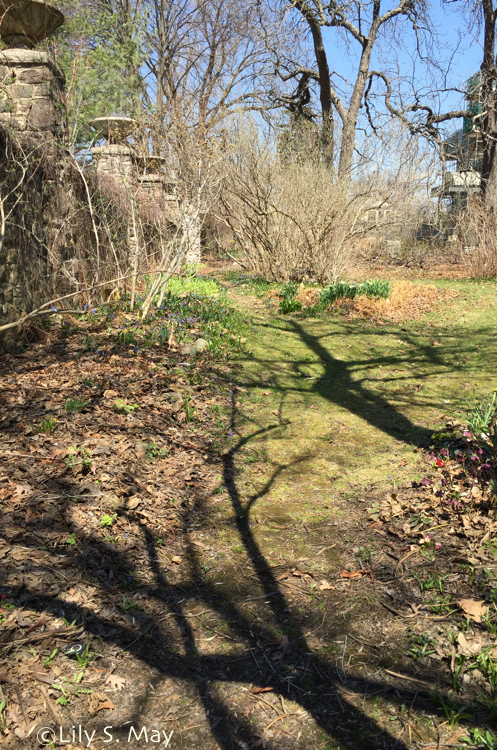 SpadinaHouseGrounds2