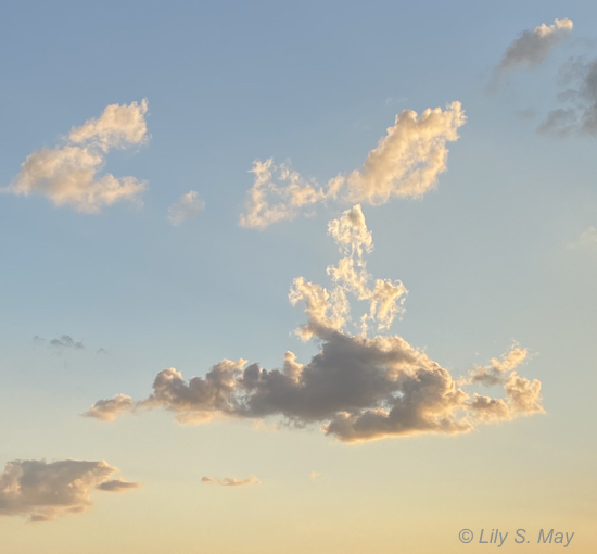 This image has an empty alt attribute; its file name is sky-2020.jpg