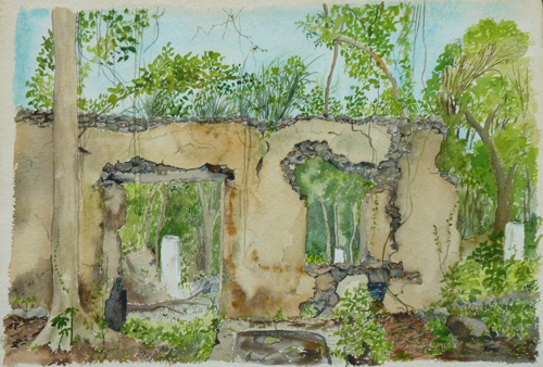 Watercolour by Bernice Barsel.